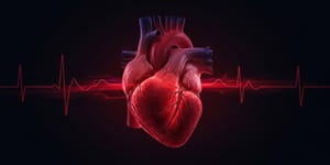 15th Global Virtual Conference on Cardiology